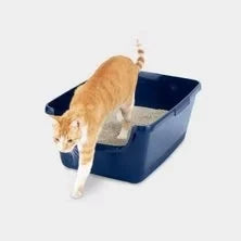 Kedi Aksesuar