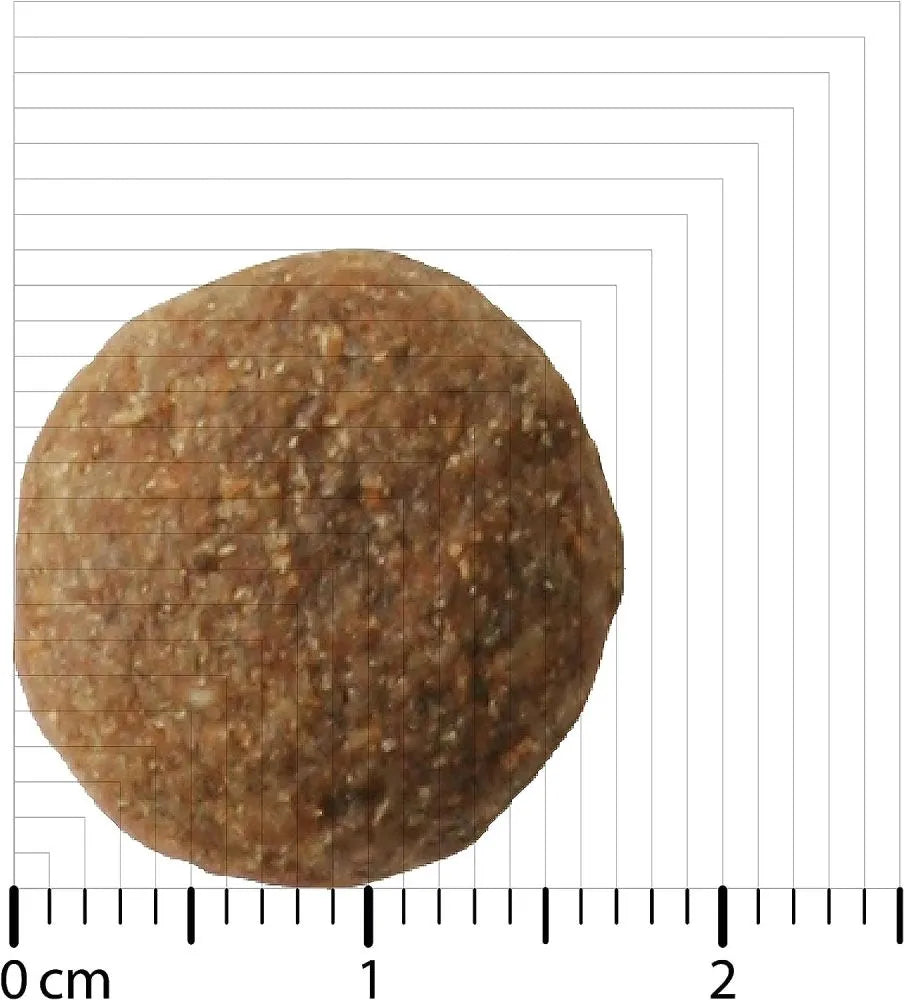 Bozita Orijinal Köpek Maması, 12 kg