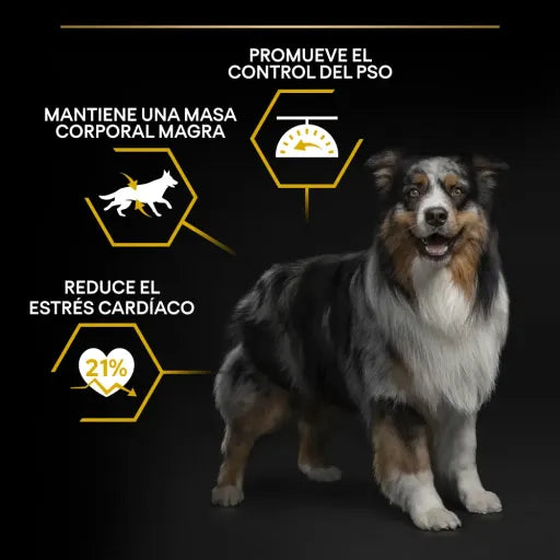 Pro Plan Light Kısırlaştırılmış Balıklı Yetişkin Köpek Maması, 14Kg