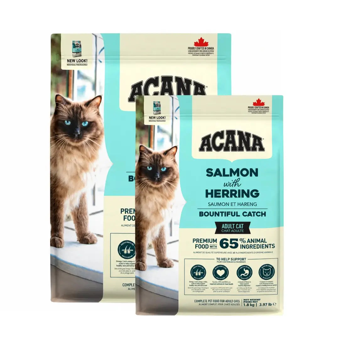 Acana Bountiful Catch Somonlu Yetişkin Kedi Maması