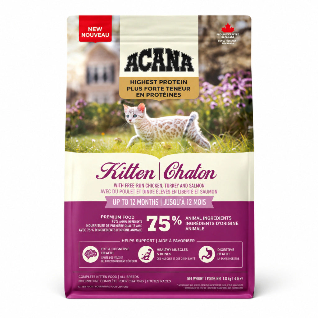Acana Highest Protein Kitten Tavuk, hindi ve somonlu Tahılsız Yavru Kedi Maması, 1,8 kg