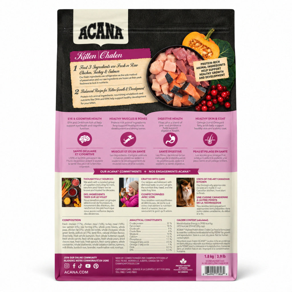 Acana Highest Protein Kitten Tavuk, hindi ve somonlu Tahılsız Yavru Kedi Maması, 1,8 kg