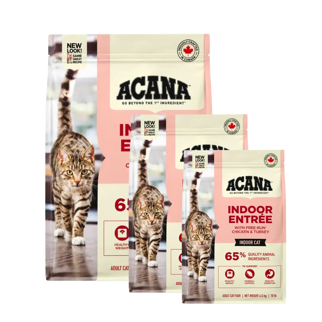 Acana Indoor Entrée Tavuk, hindi, bütün ringa balığı ve tavşan Yetişkin Kedi Maması