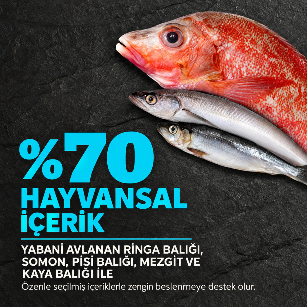 Acana Pacifica Balıklı Tahılsız Yetişkin Köpek Maması, 11,4 kg