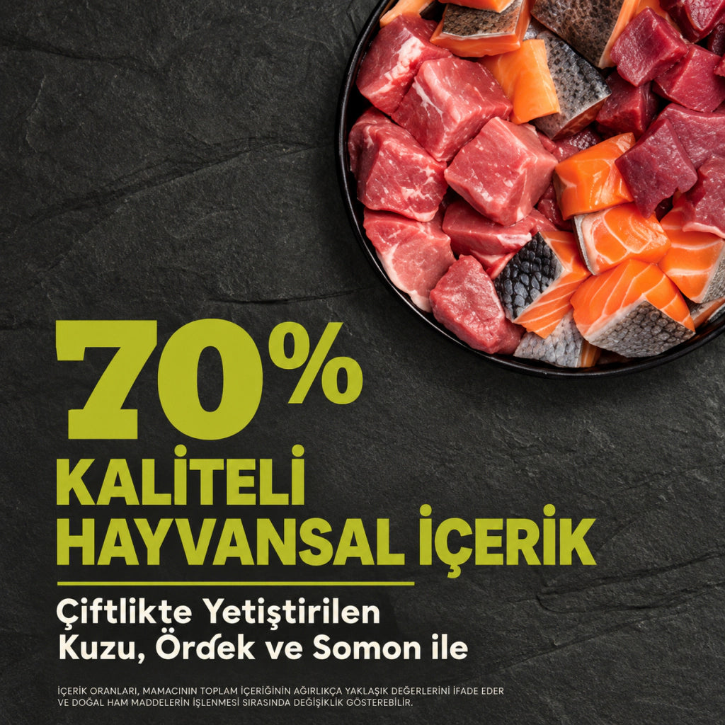 Acana Regionals Grasslands Kuzu, Ördek ve Balıklı Tahılsız Yetişkin Köpek Maması, 11,4 kg