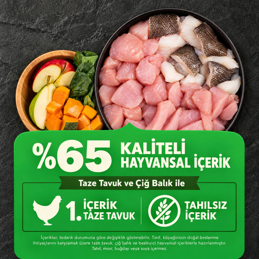 Acana Senior Recipe Tavuklu Tahılsız Yaşlı Köpek Maması