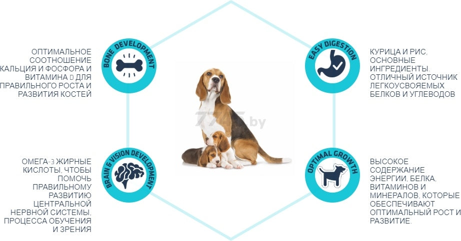 Advance Active Defense Tavuklu Hamile ve Yavru Köpek Maması, 3kg