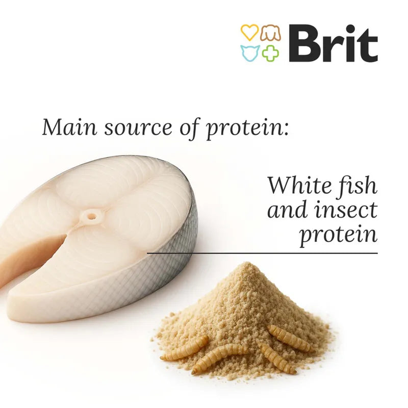 Brit Care Sensitive Sustainable Digestion & Skin Larva proteini ve Balıklı Tahılsız Yetişkin Köpek Maması, 3kg