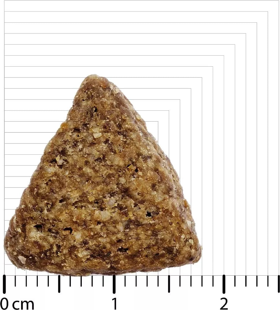 Bozita Original Kuzu Etli ve Pirinçli Tahıllı Yetişkin Köpek Maması, 12 kg