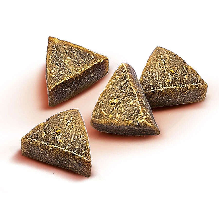 Brit Care Antiparasitic Somonlu Tahılsız Yetişkin Köpek Ödül Maması, 50g