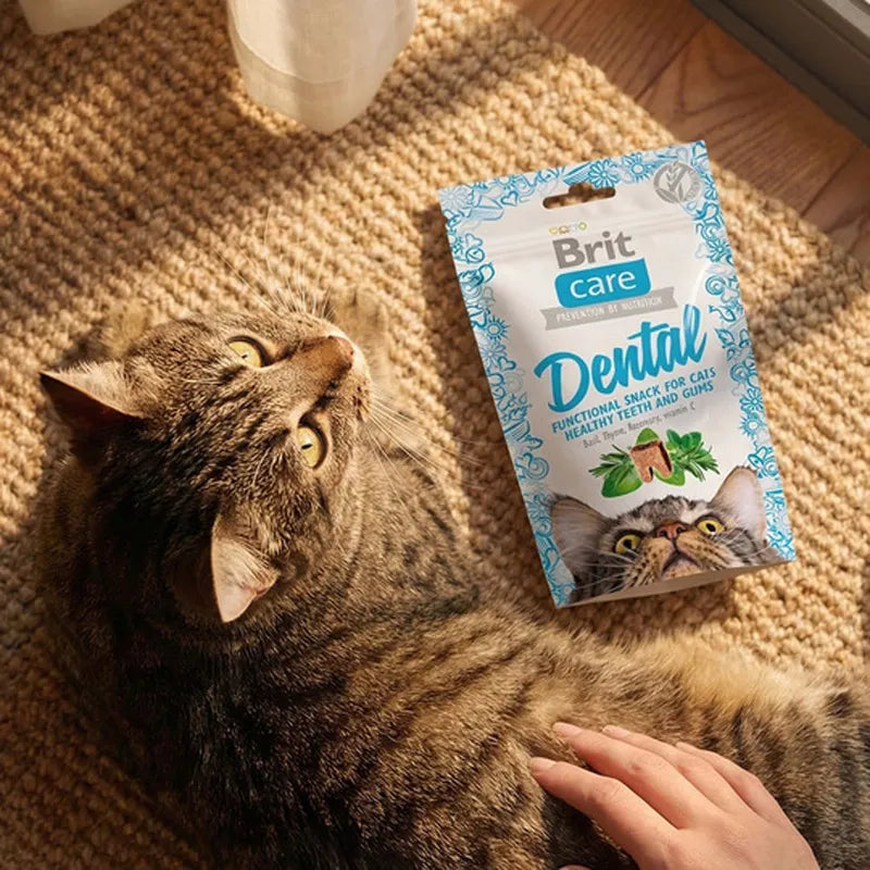 Brit Care Dental Hindili Tahılsız Yetişkin Kedi Ödül Maması, 50g