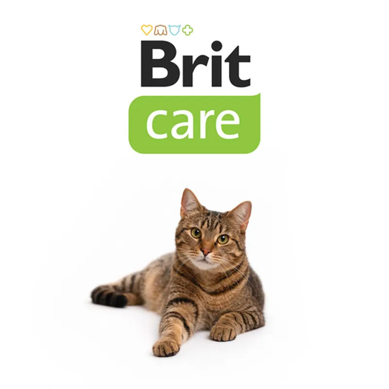 Brit Care Hairball Tahılsız Yetişkin Kedi Ödül Maması, 50g