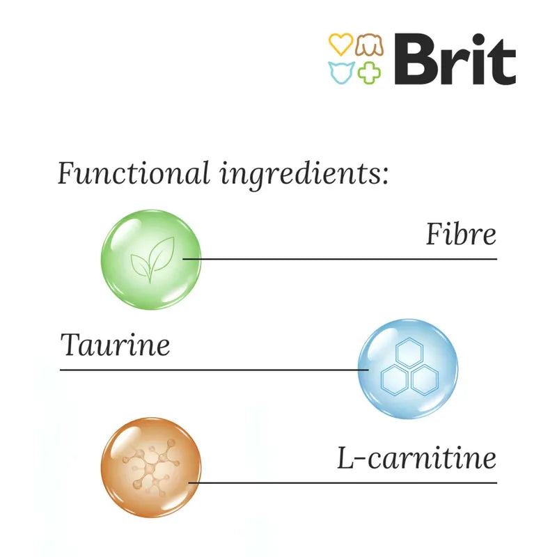 Brit Care Senior & Light Somonlu Tahılsız Yaşlı Köpek Maması