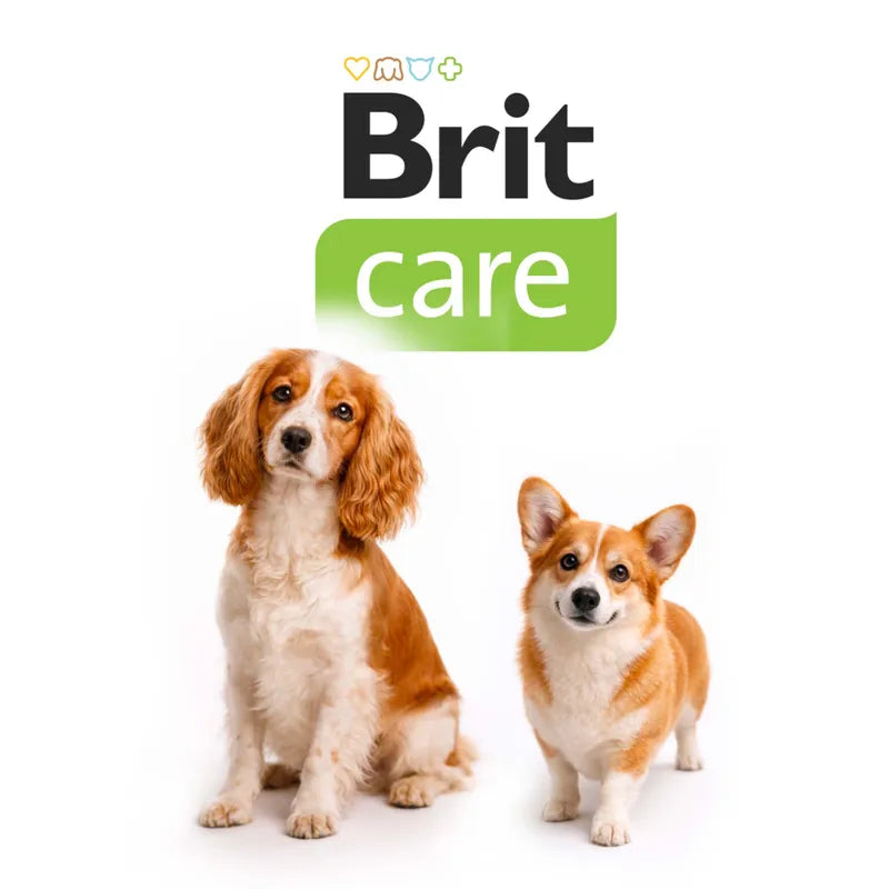 Brit Care Senior Hypo-Allergenic Tahılsız Yaşlı Köpek Maması