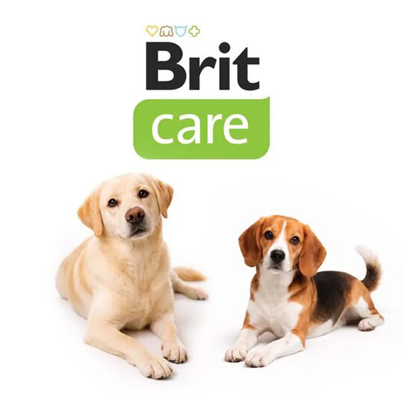 Brit Care Sensitive Digestion & Skin Geyik Etli Tahılsız Yetişkin Köpek Maması