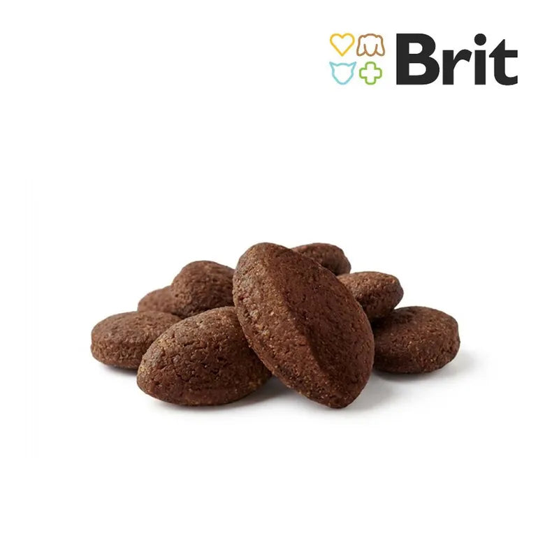 Brit Care Super Fruits Kısırlaştırılmış Somonlu Tahılsız Yetişkin Kedi Ödül Maması, 100g