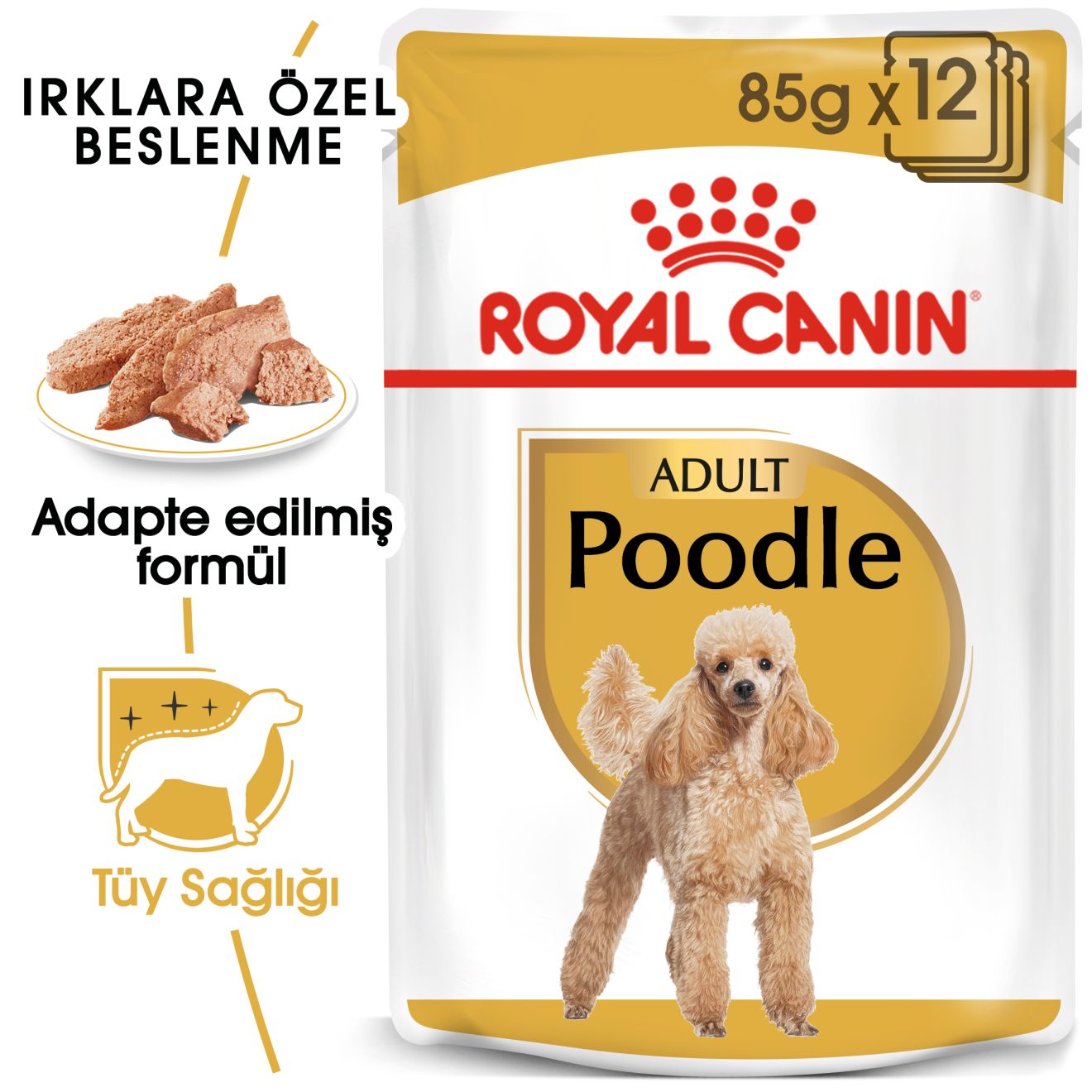 Royal Canin Poodle Yetişkin Köpek Yaş Maması, 85g