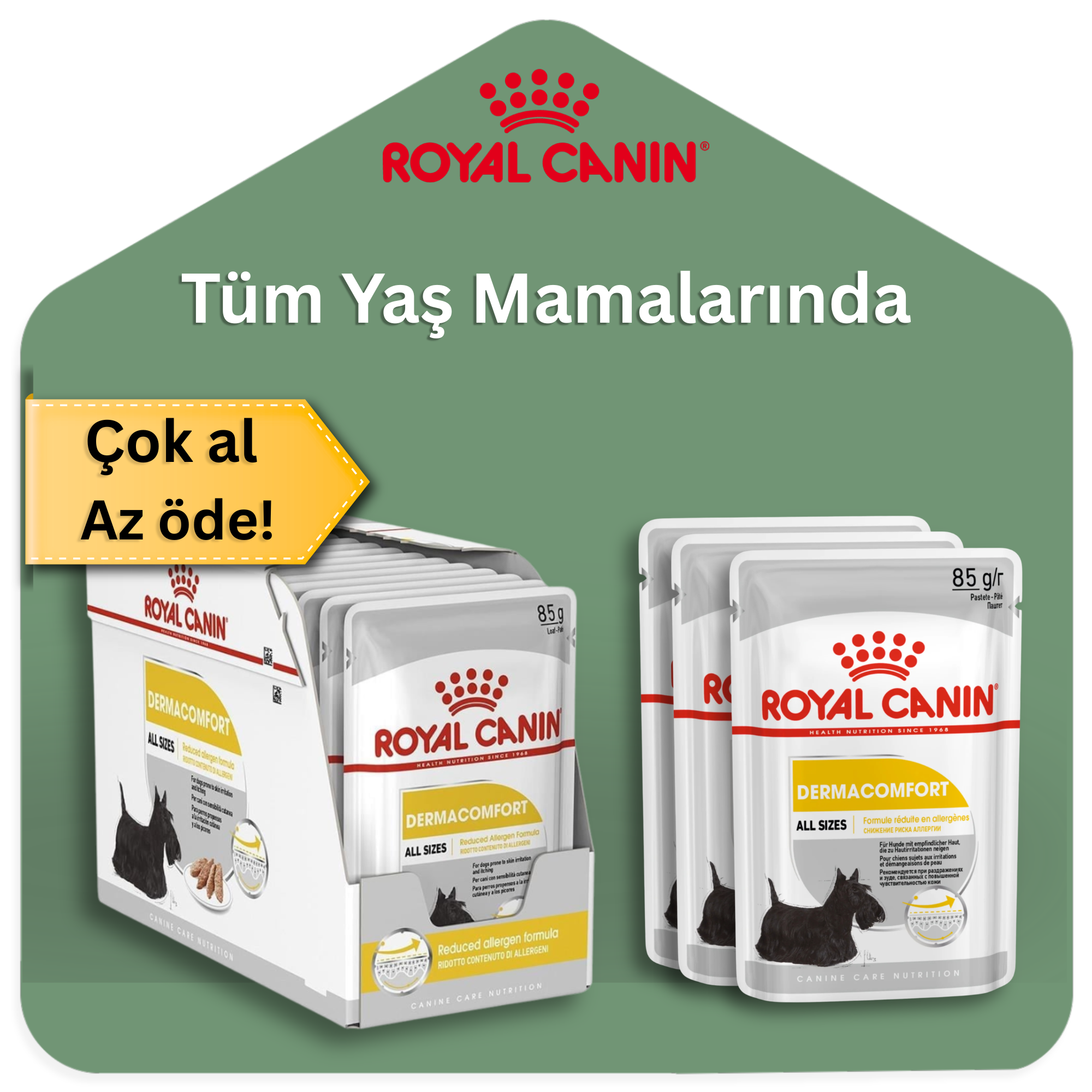 Catz & Dogz | Premium Pet Shop ve Online Pet Market