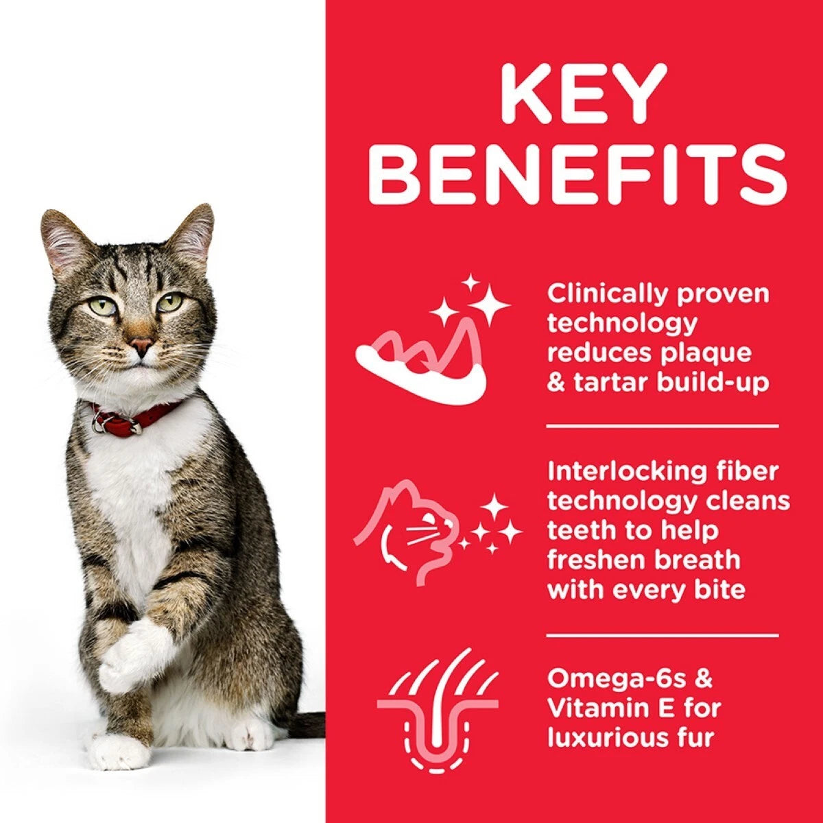 Hill's Science Plan Ağız Sağlığı Tavuklu Faydası Yetişkin Kedi Mama, 1.5kg