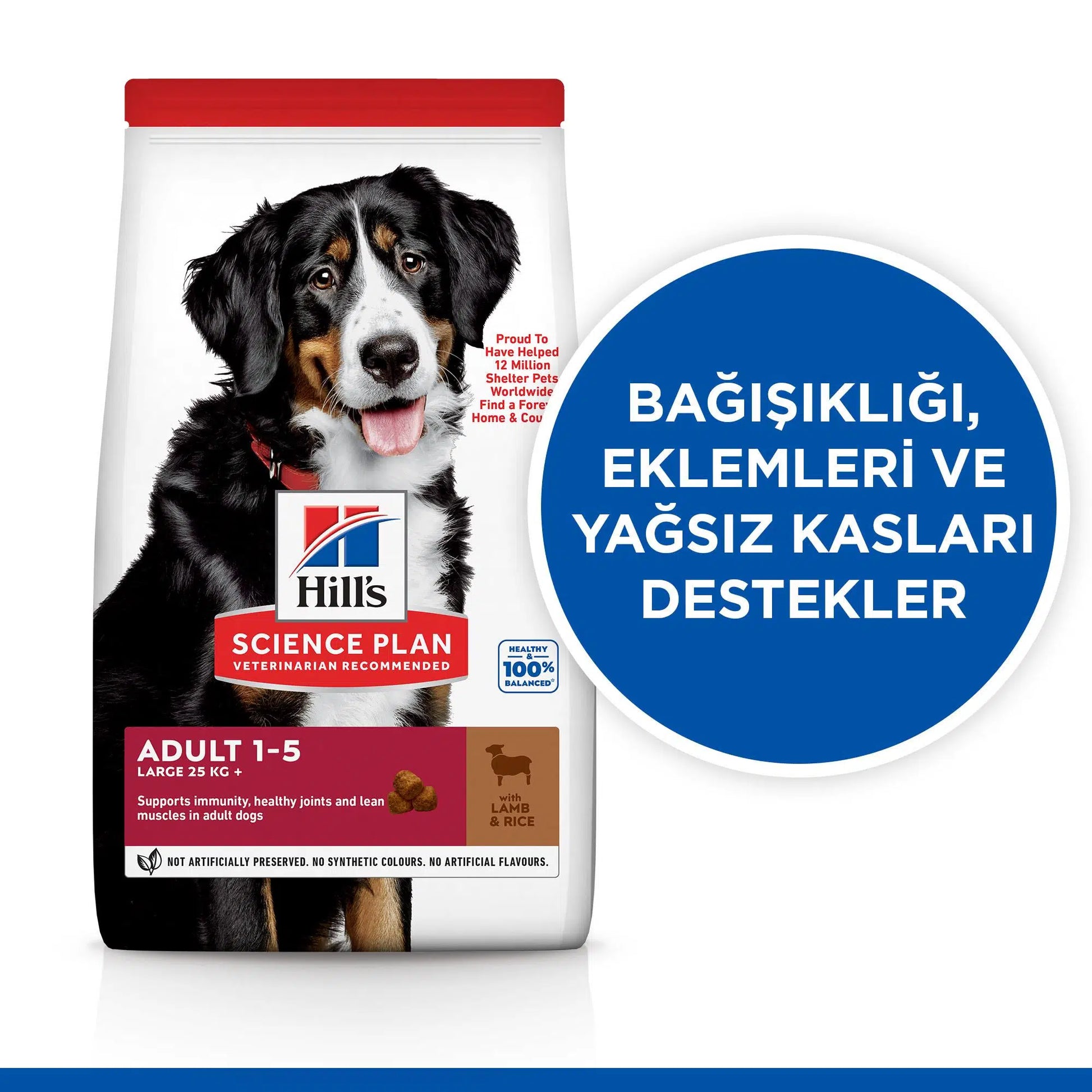 Hill's Science Plan Kuzulu ve Pirinçli Büyük Yetişkin Köpek Mama, 12+2kg