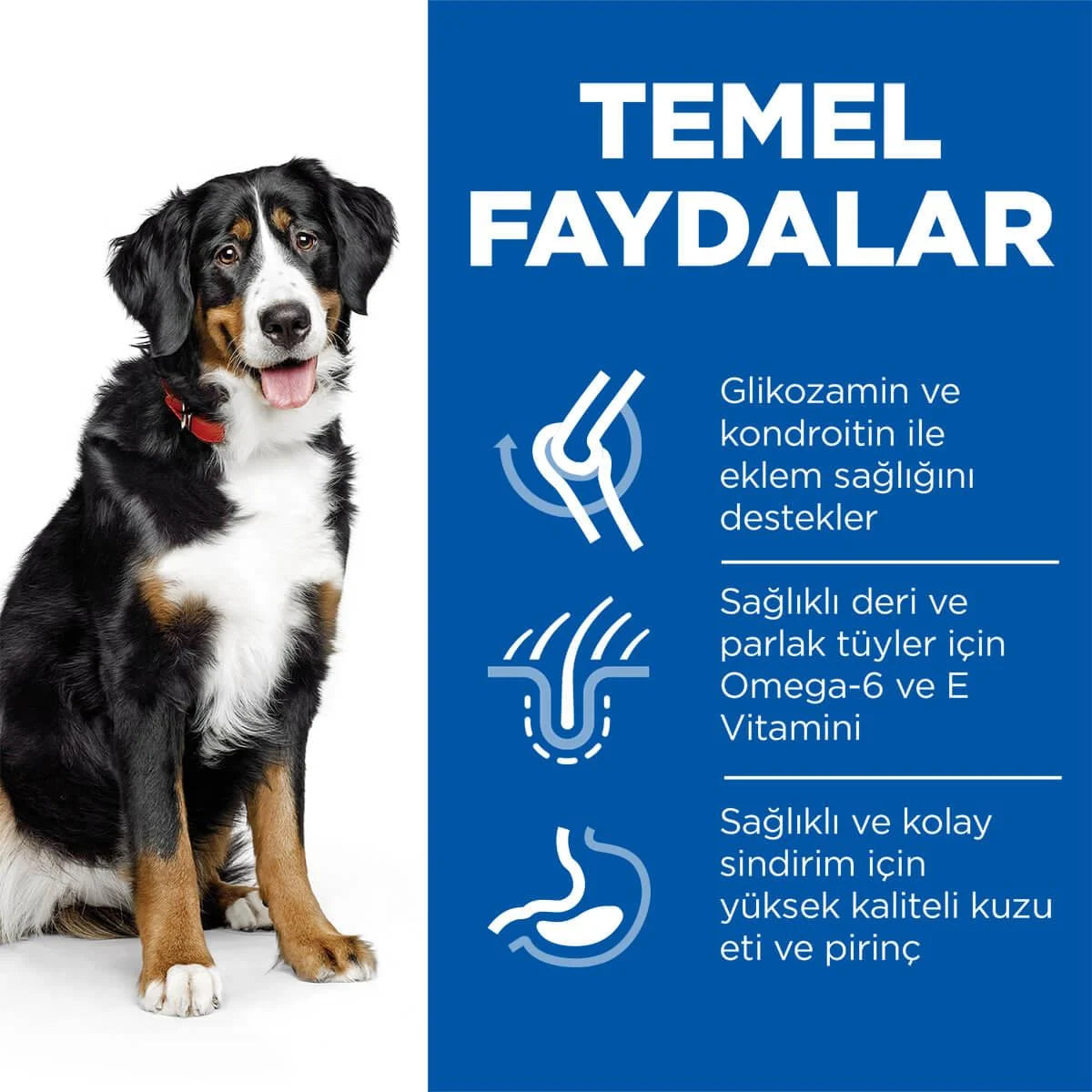 Hill's Science Plan Kuzulu ve Pirinçli Maxi Adult Köpek Mama, 12+2kg