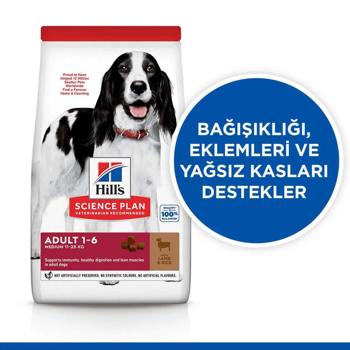 Hill's Science Plan Kuzulu ve Pirinçli Orta Adult Köpek Mama, 12+2kg
