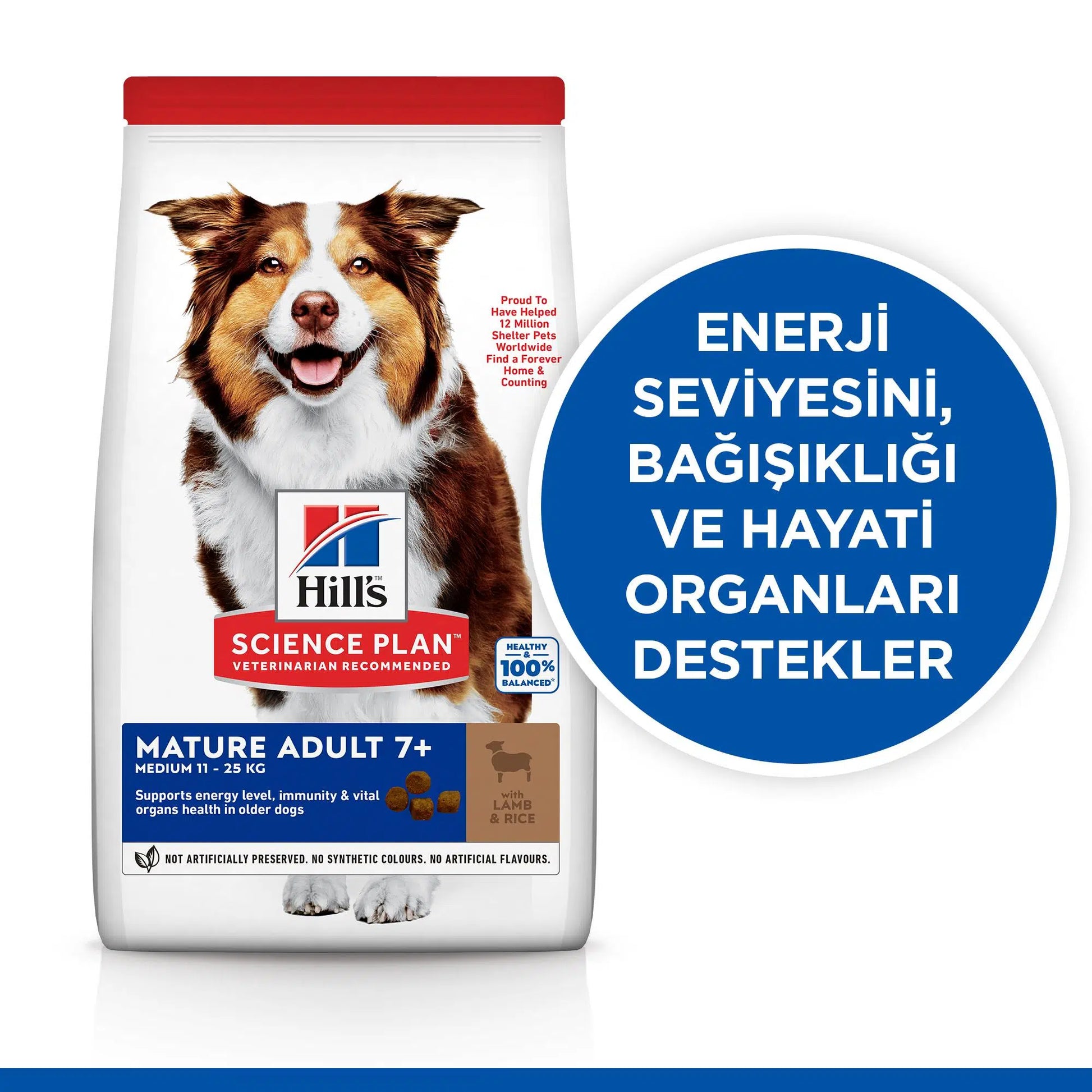 Hill's Science Plan Mature Adult +7 Kuzu Etli Yaşlı Köpek Mama, 14kg