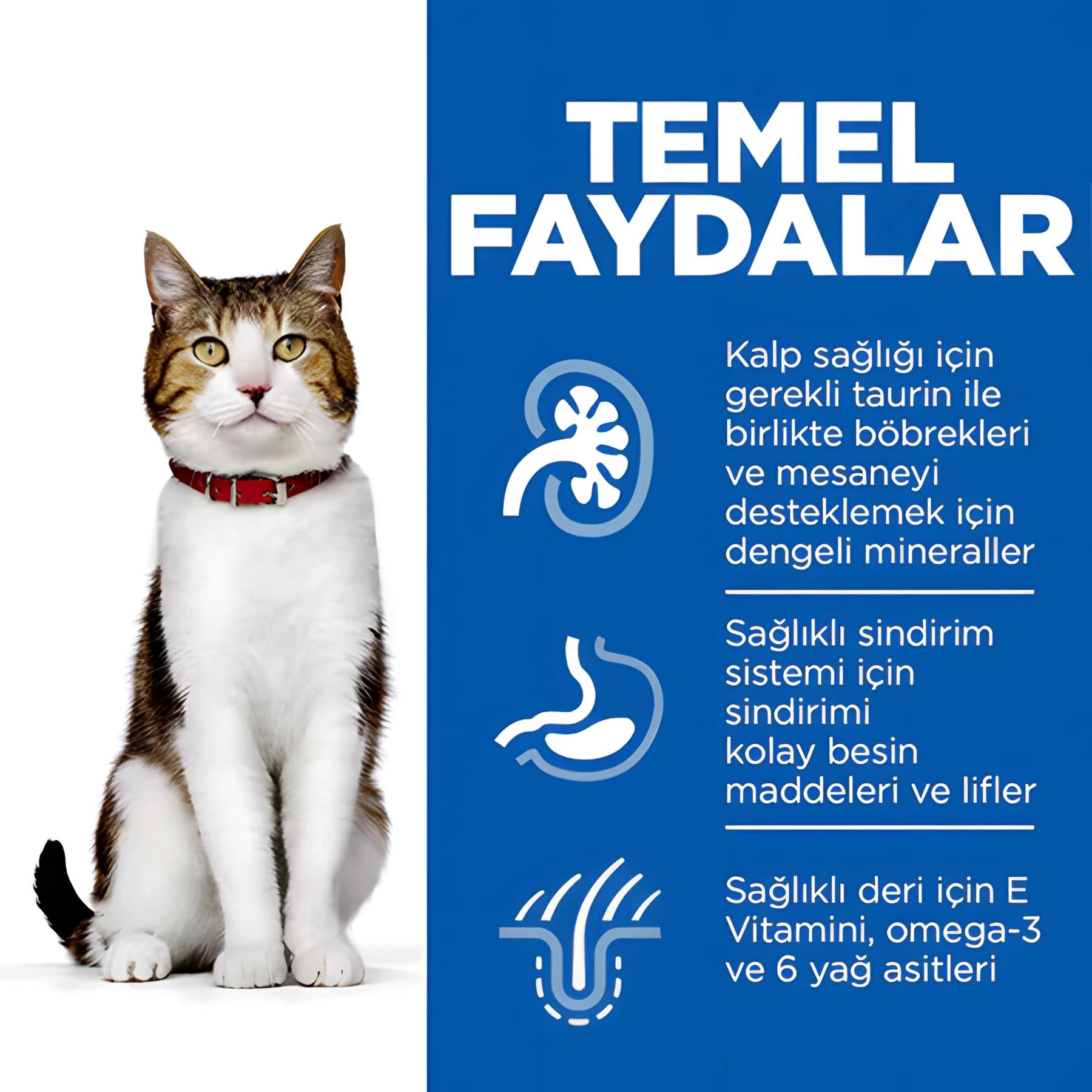 Hill's Science Plan Mature Adult +7 Tavuk Etli Yaşlı Kedi Mama, 1.5kg