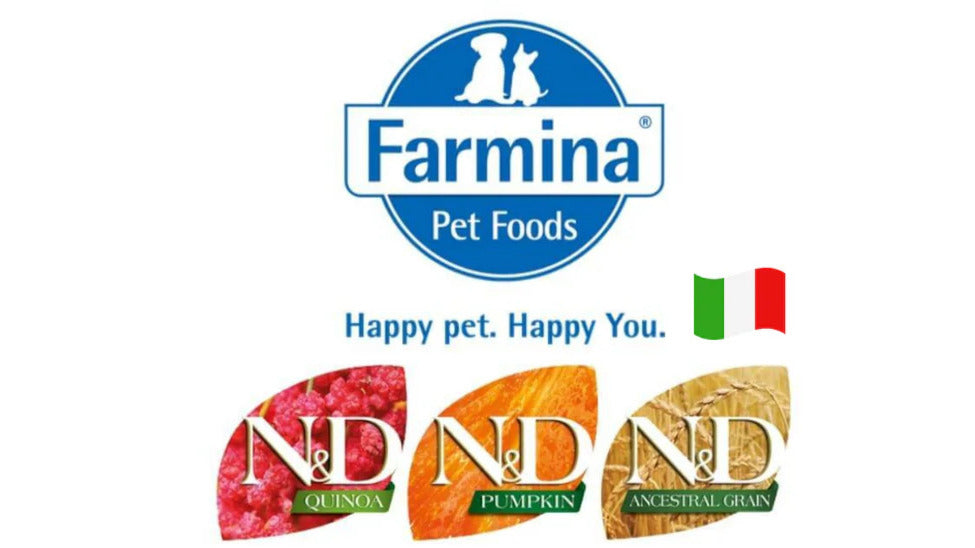 Catz & Dogz | Premium Pet Shop ve Online Pet Market