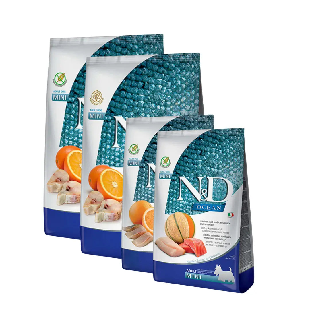 N&D Ocean Mini Yetişkin Köpek Maması