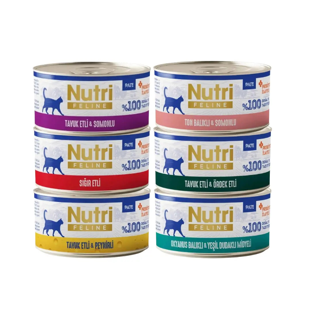 Nutri İn Pate Yetişkin Kedi Konserve Mama, 70g