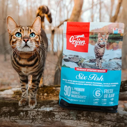 Orijen Six Fish Yetişkin Kedi Maması
