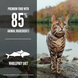 Orijen Six Fish Yetişkin Kedi Maması
