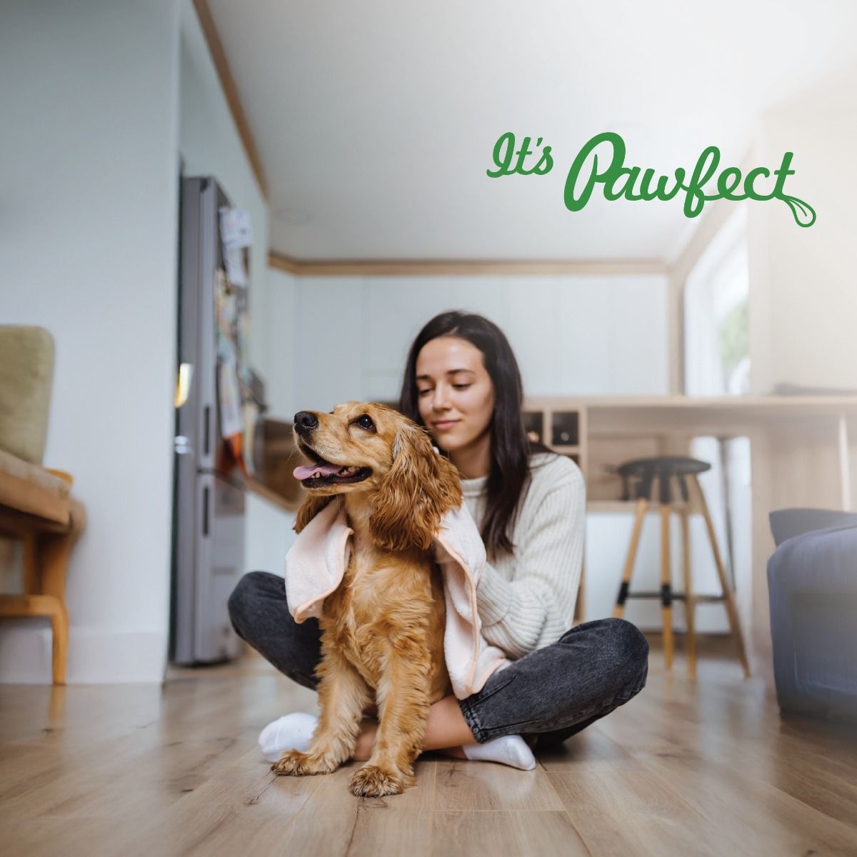 Pawfect Himalayan Cheese Orijinal Peynir Köpek Ödülü