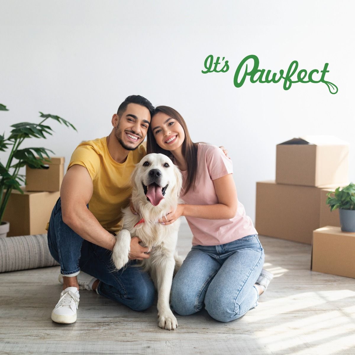 Pawfect Himalayan Cheese Peynir Köpek Ödülü