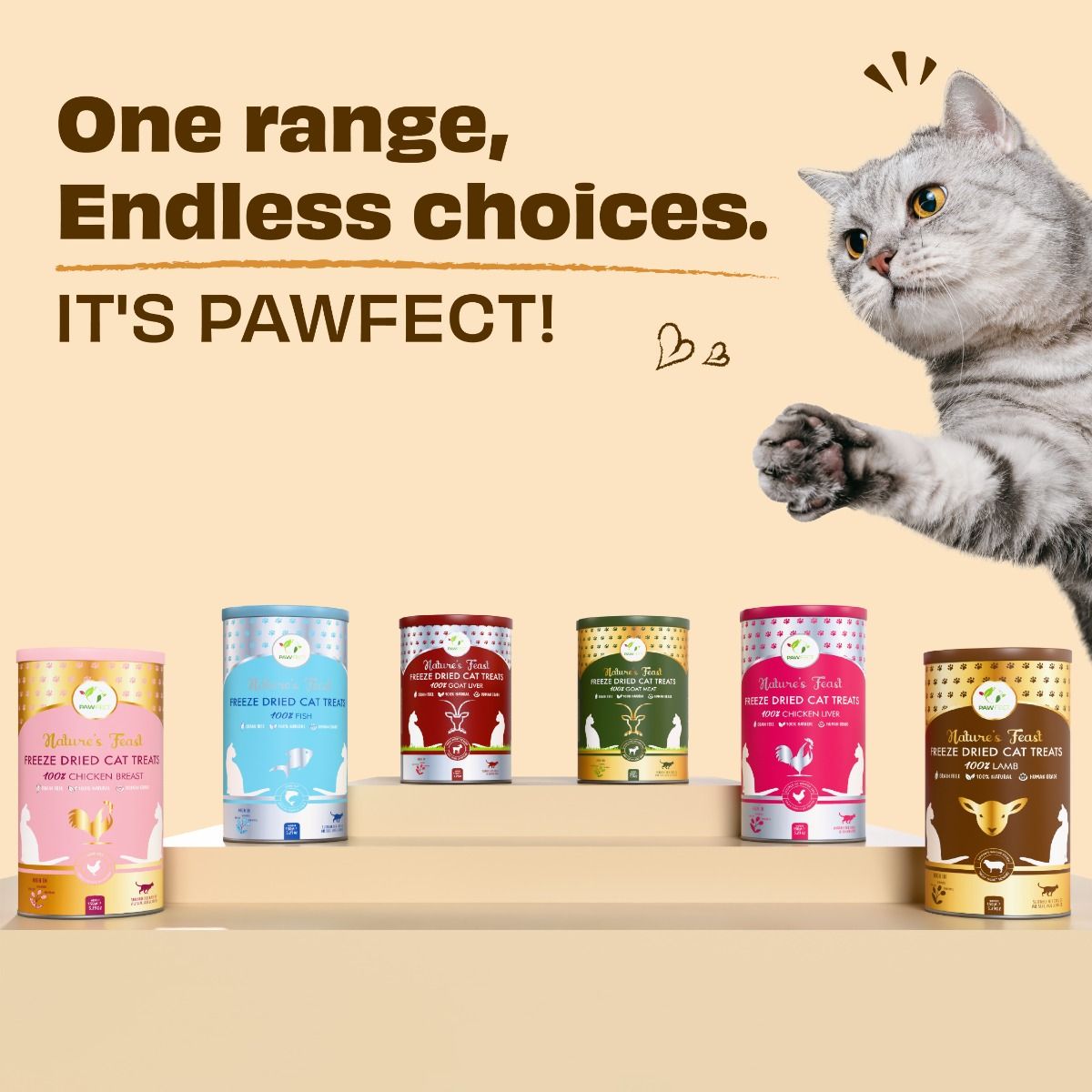 Pawfect Nature's Feast Freeze Dried Dondurulmuş Kurutulmuş Kedi Ödülü, 50g