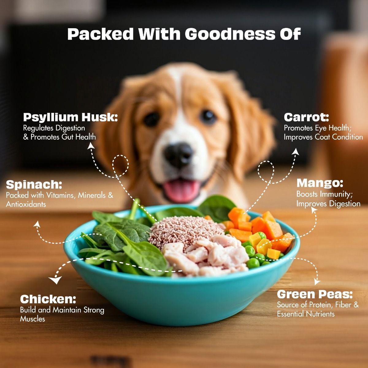 Pawfect Nature's Feast Freeze Dried Dondurulmuş Kurutulmuş Köpek Ödülü, 50g