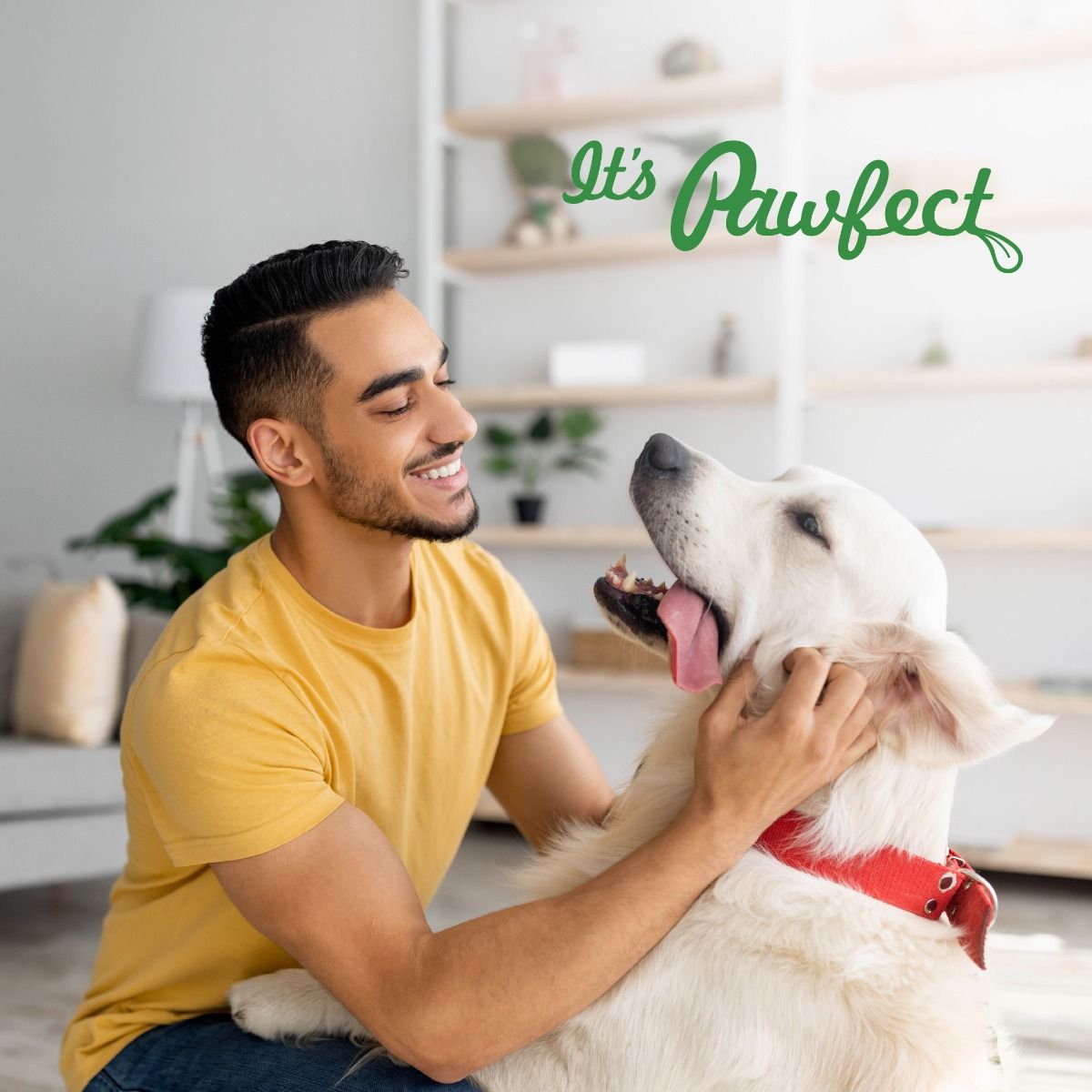 Pawfect Nature's Feast Freeze Dried Dondurulmuş Kurutulmuş Köpek Ödülü, 50g