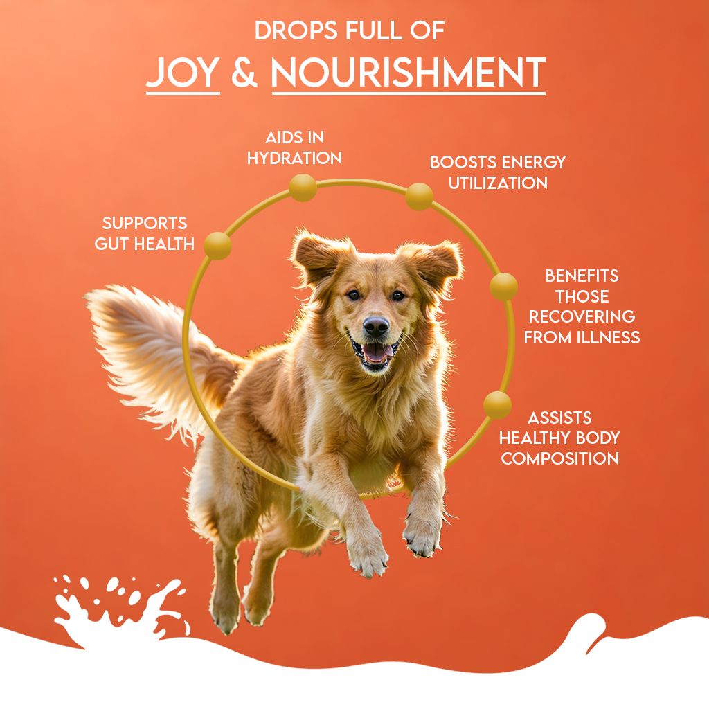 Pawfect Nature's Sip Köpek Süt Tozu Toppers