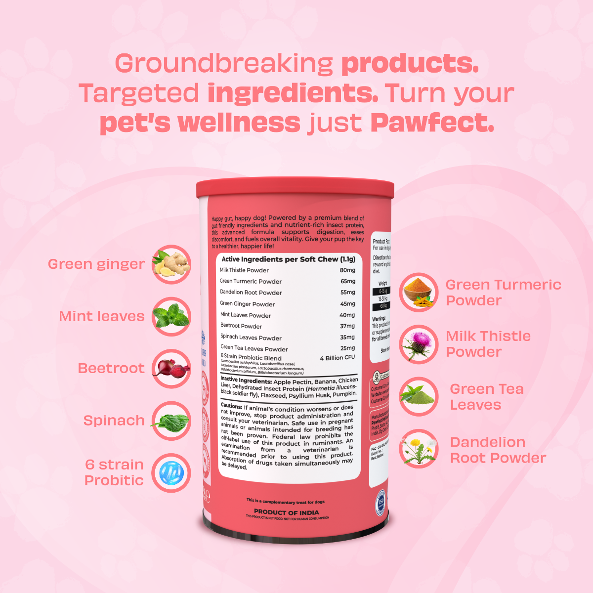 Pawfect Wild Vigor Larva proteinli Dondurulmuş Kurutulmuş Köpek Ödülü, 70g