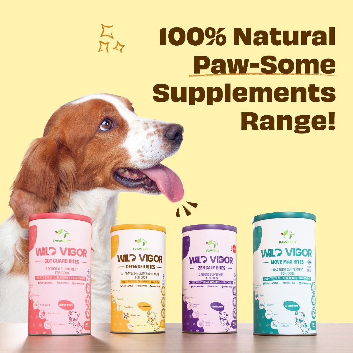 Pawfect Wild Vigor Larva proteinli Dondurulmuş Kurutulmuş Köpek Ödülü, 70g