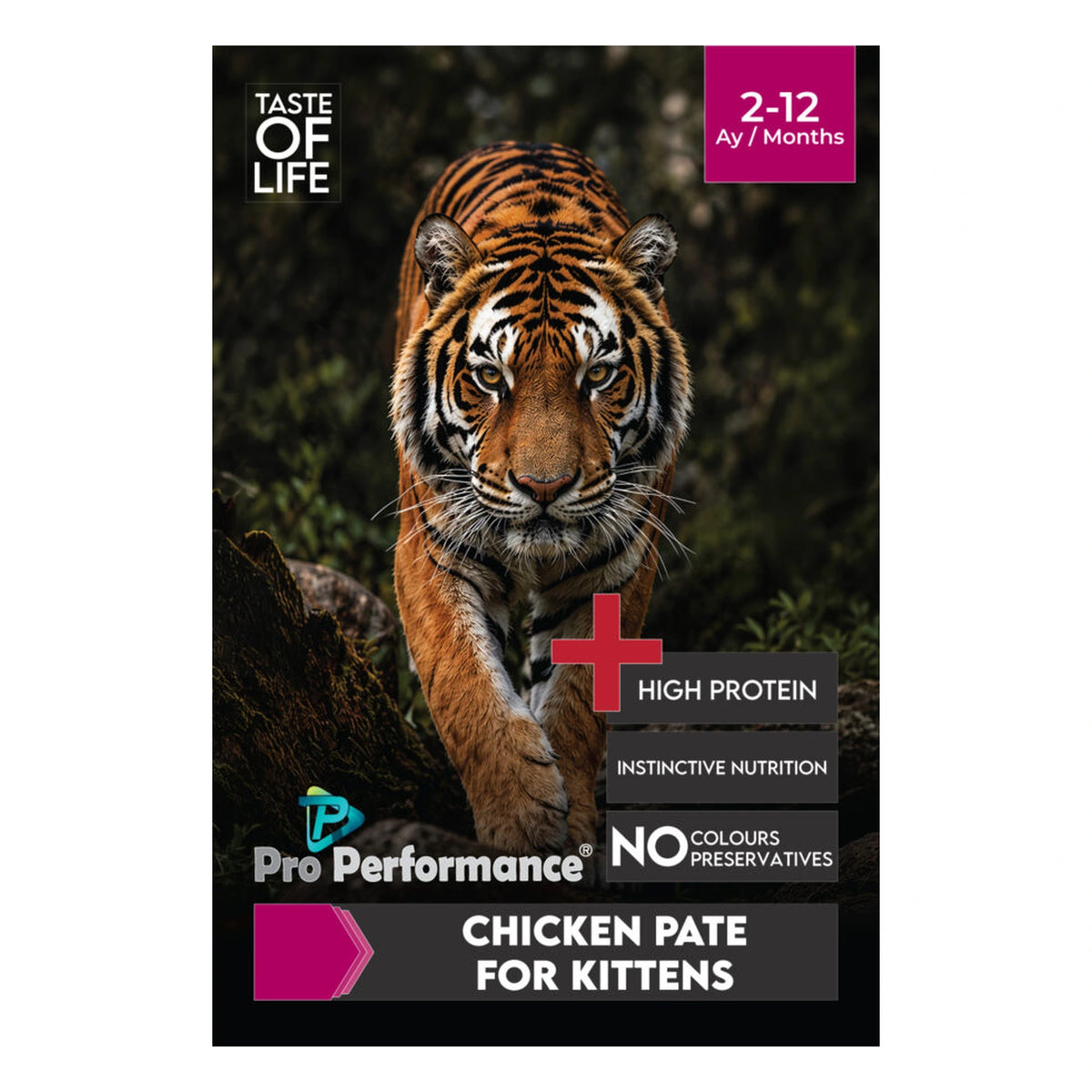 Pro Performance Pate Tavuklu Yavru Yaş Kedi Yaş Maması, 400 g