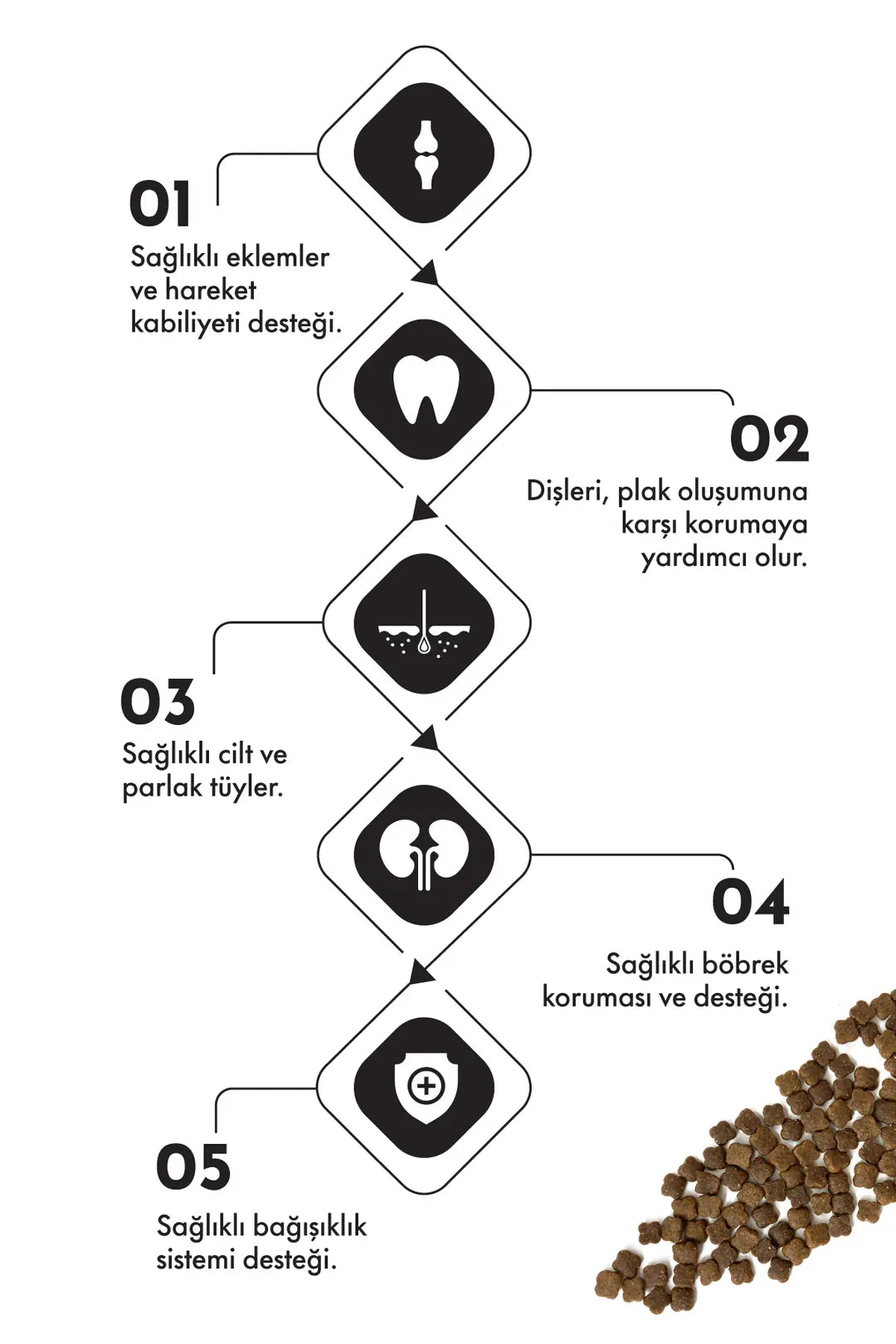 Pro Performance Ultra Premium Anne ve Yavru Kedi Maması