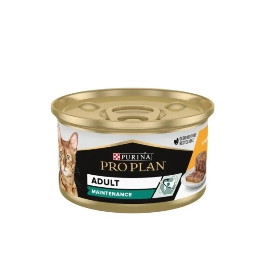 Pro Plan Maintenace Tavuklu Yetişkin Kedi Yaş Maması, 85g