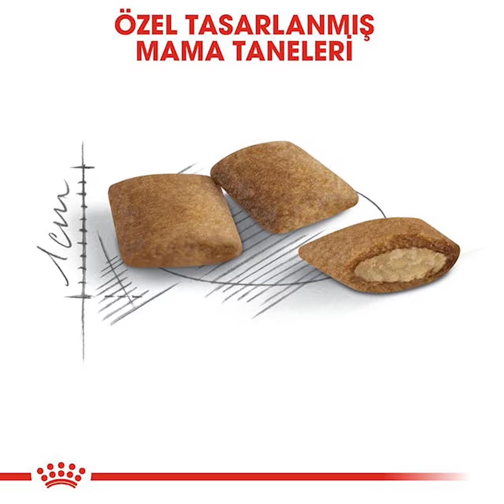 Royal Canin Ageing +12 Yaşlı Kedi Maması, 2Kg