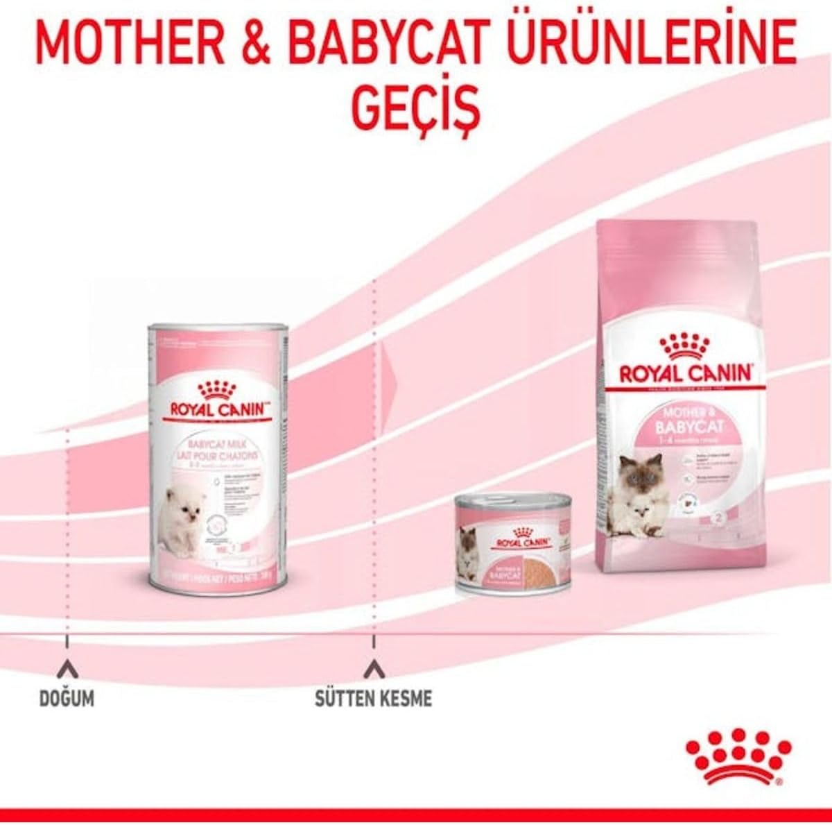 Royal Canin Babycat Milk Yavru Kedi Süt Tozu Maması, 300g