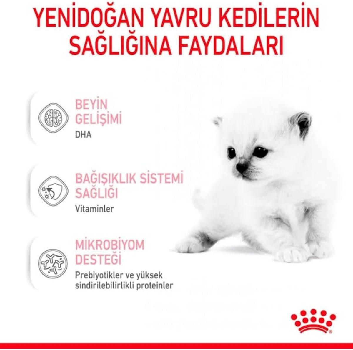 Royal Canin Babycat Milk Yavru Kedi Süt Tozu Maması, 300g