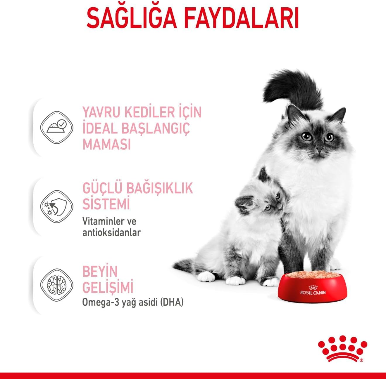 Royal Canin Babycat Yavru Kedi Konserve Maması, 195g