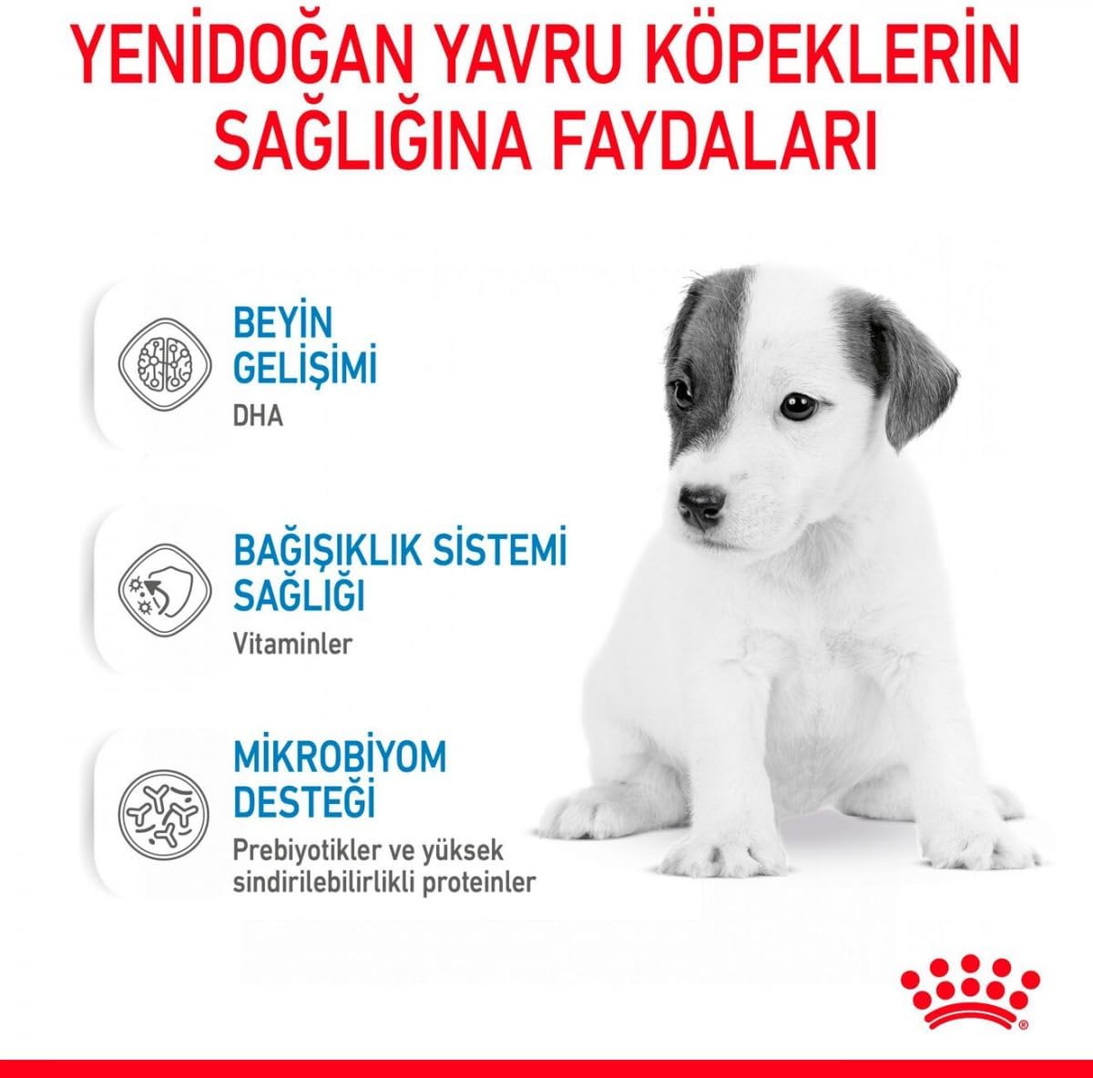 Royal Canin Babydog Milk Yavru Köpek Süt Tozu Maması, 400g