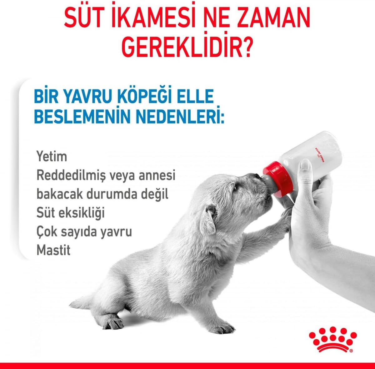 Royal Canin Babydog Milk Yavru Köpek Süt Tozu Maması, 400g